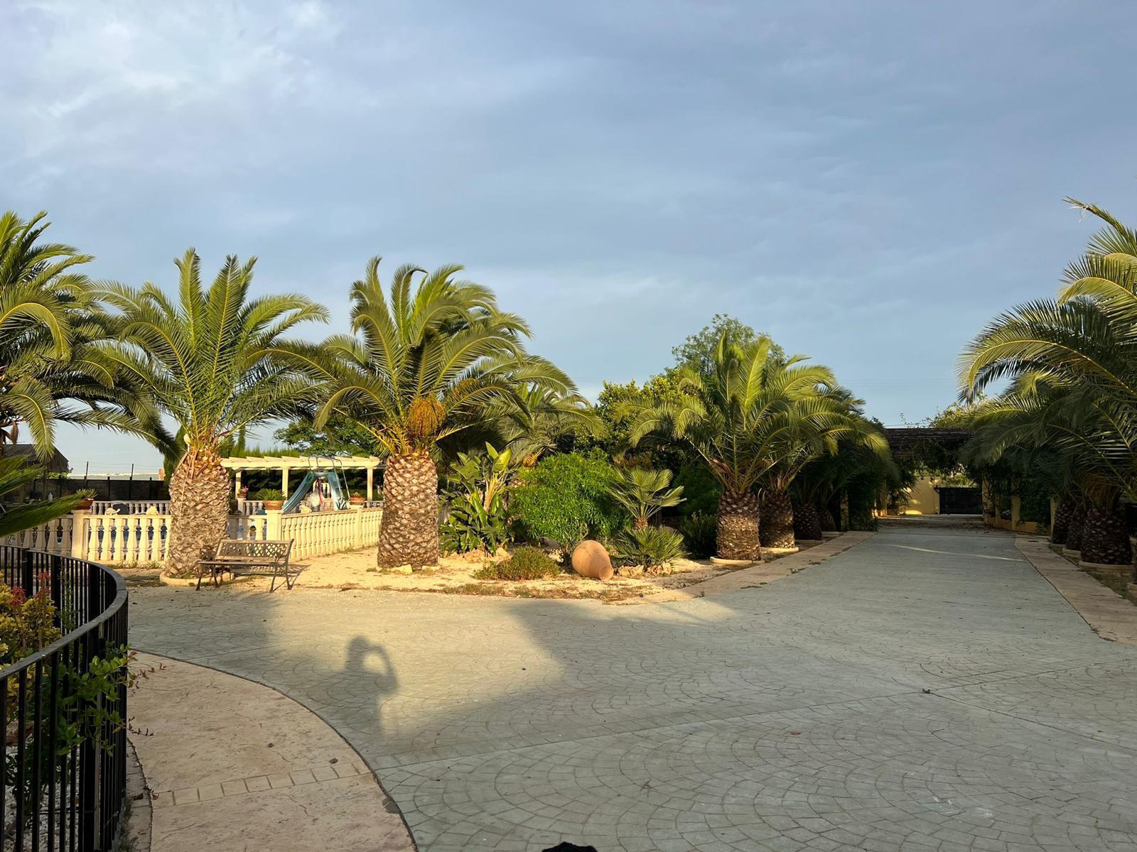 Luxury Mediterranean Estate with Private Orchard in Valverde, Elche