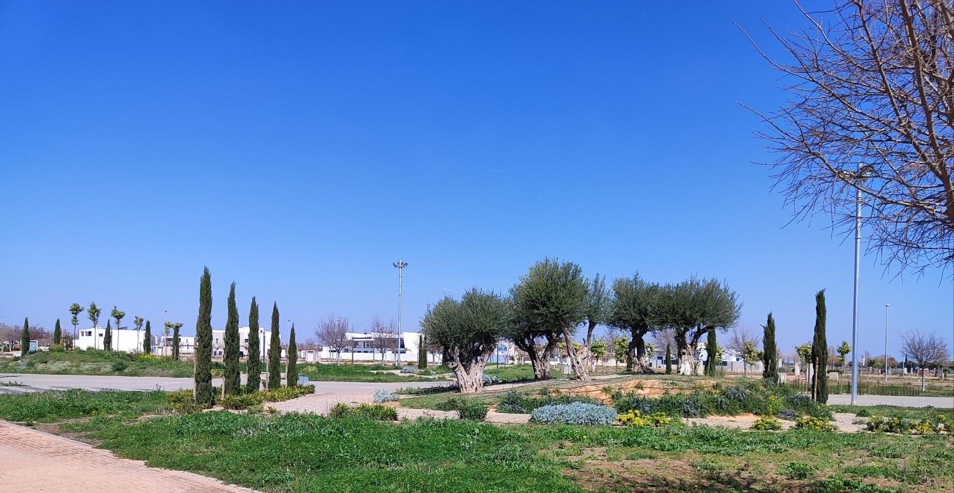 NEW BUILD APARTMENTS IN TORRE-PACHECO