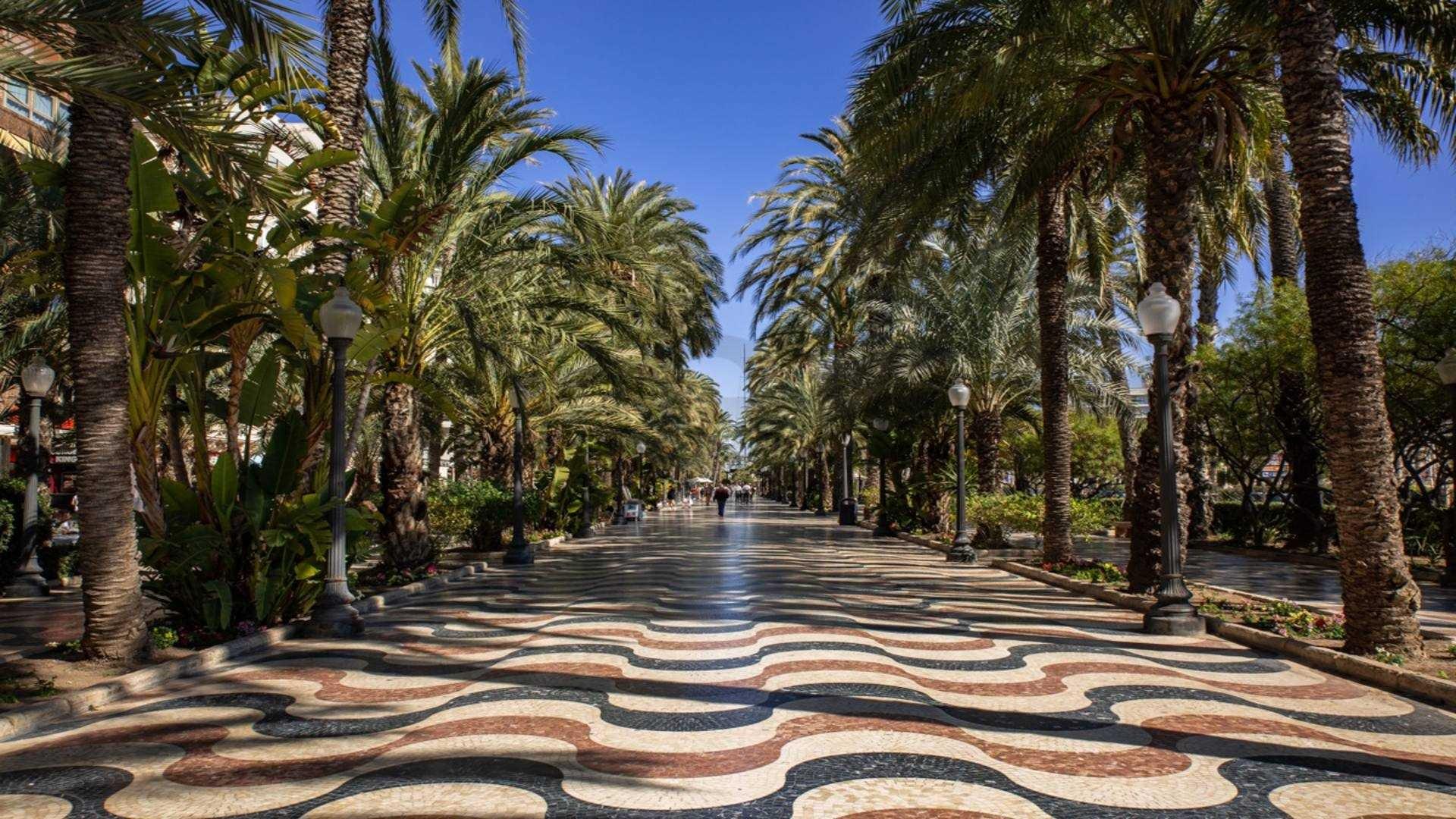 NEW BUILD APARTMENTS IN ALICANTE CITY