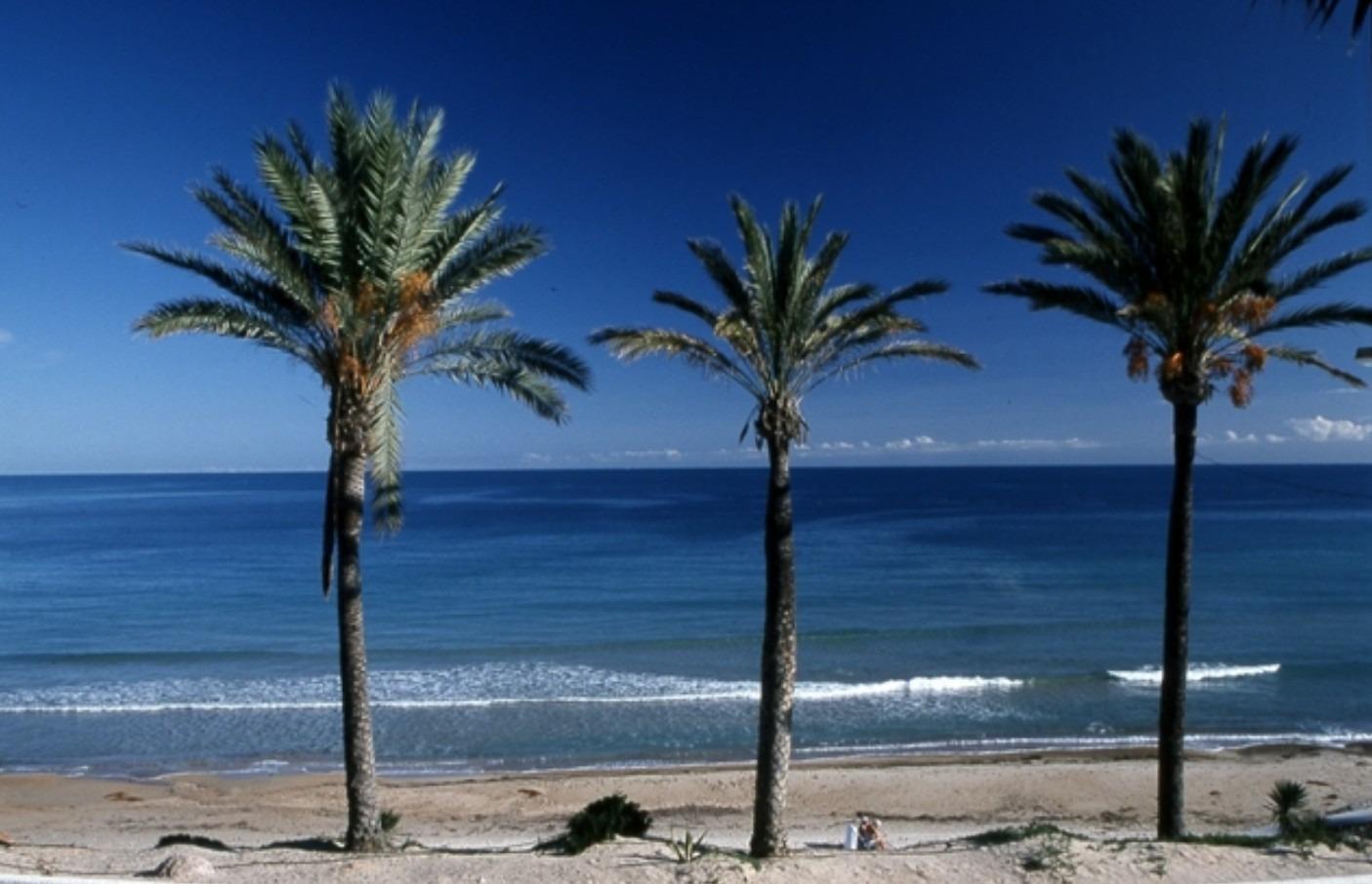 Exclusive New Build Bungalows in Pilar de la Horadada – Unique Style and Privileged Location