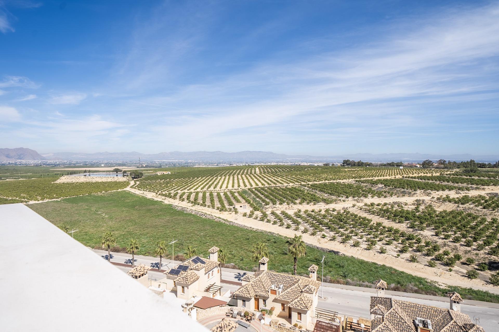 New Build Villas with Private Pool in La Finca Golf Algorfa Costa Blanca South
