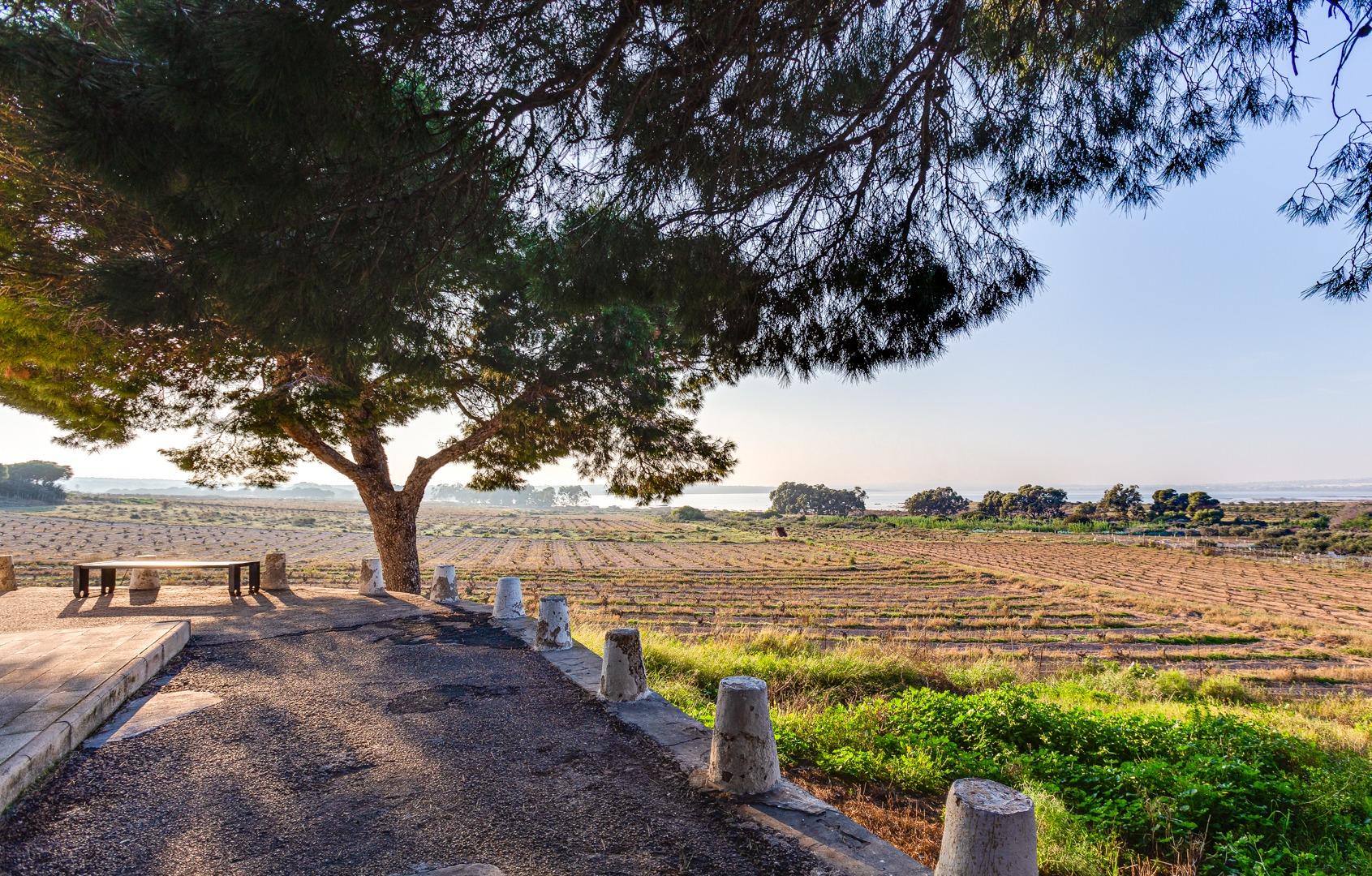 Apartment for Sale in Torrevieja, Alicante