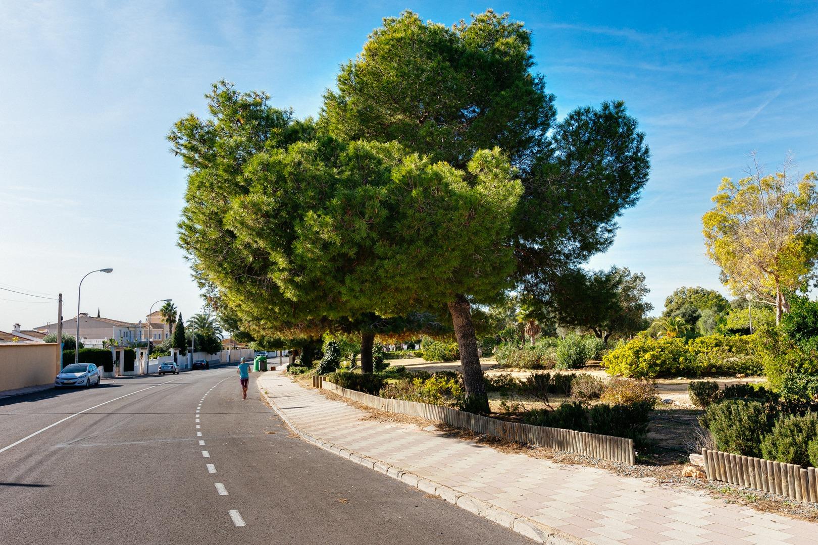 Apartment for Sale in Torrevieja, Alicante