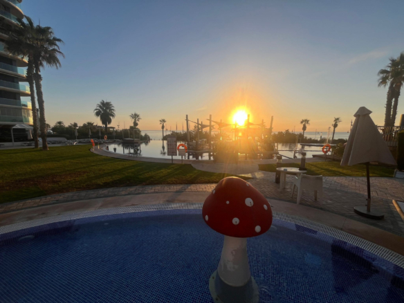 584