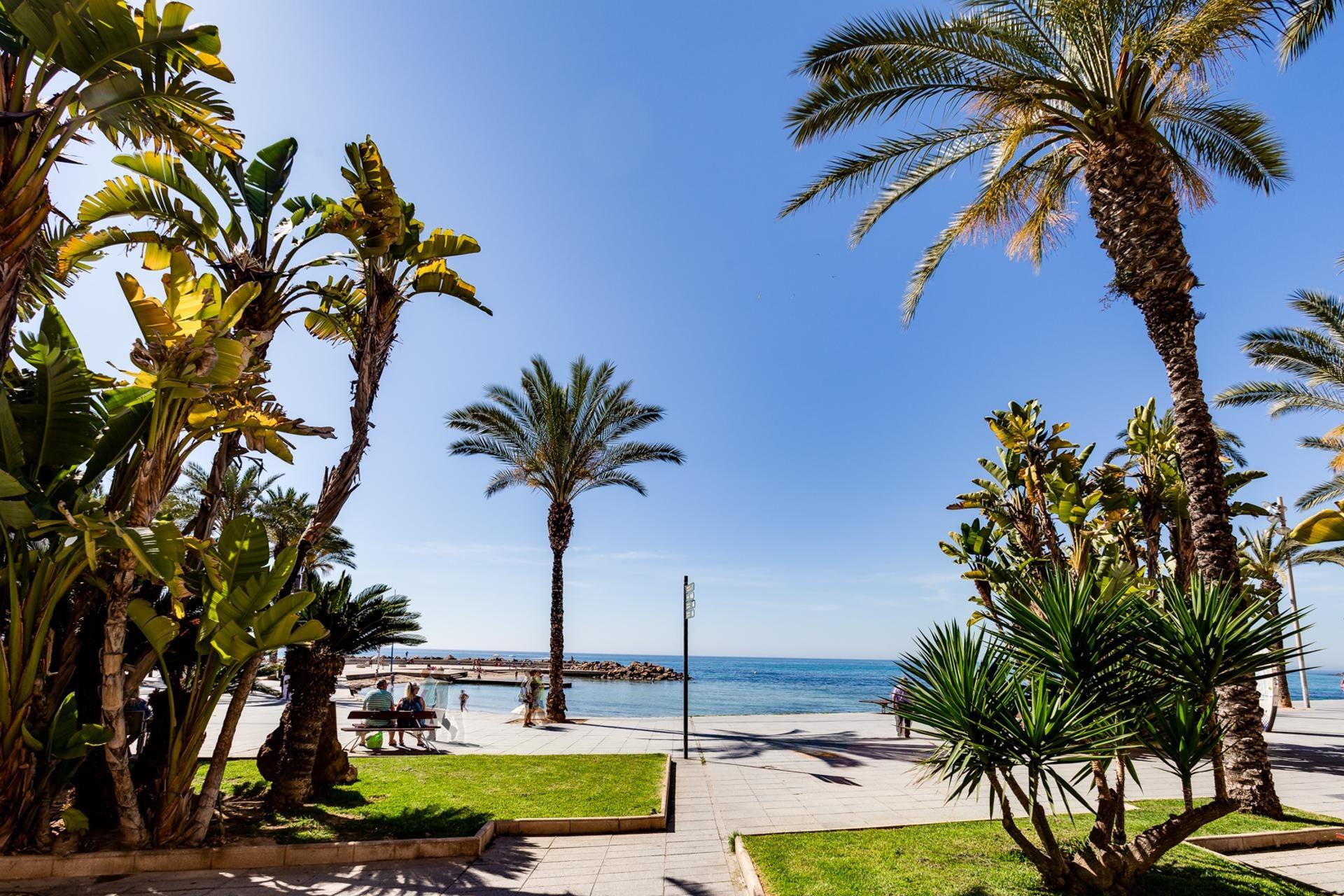 Apartment for Sale in Torrevieja, Alicante
