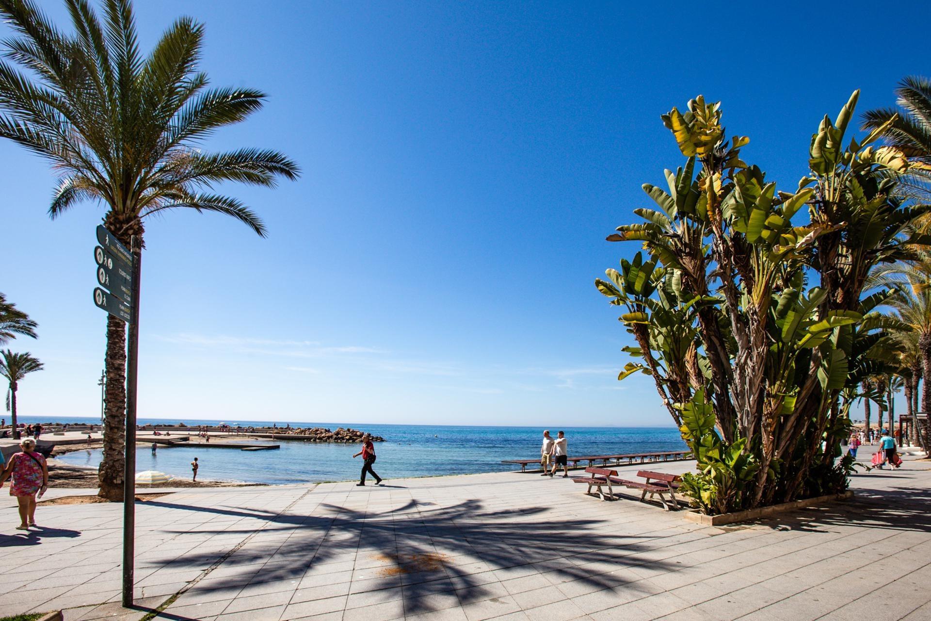 Apartment for Sale in Torrevieja, Alicante