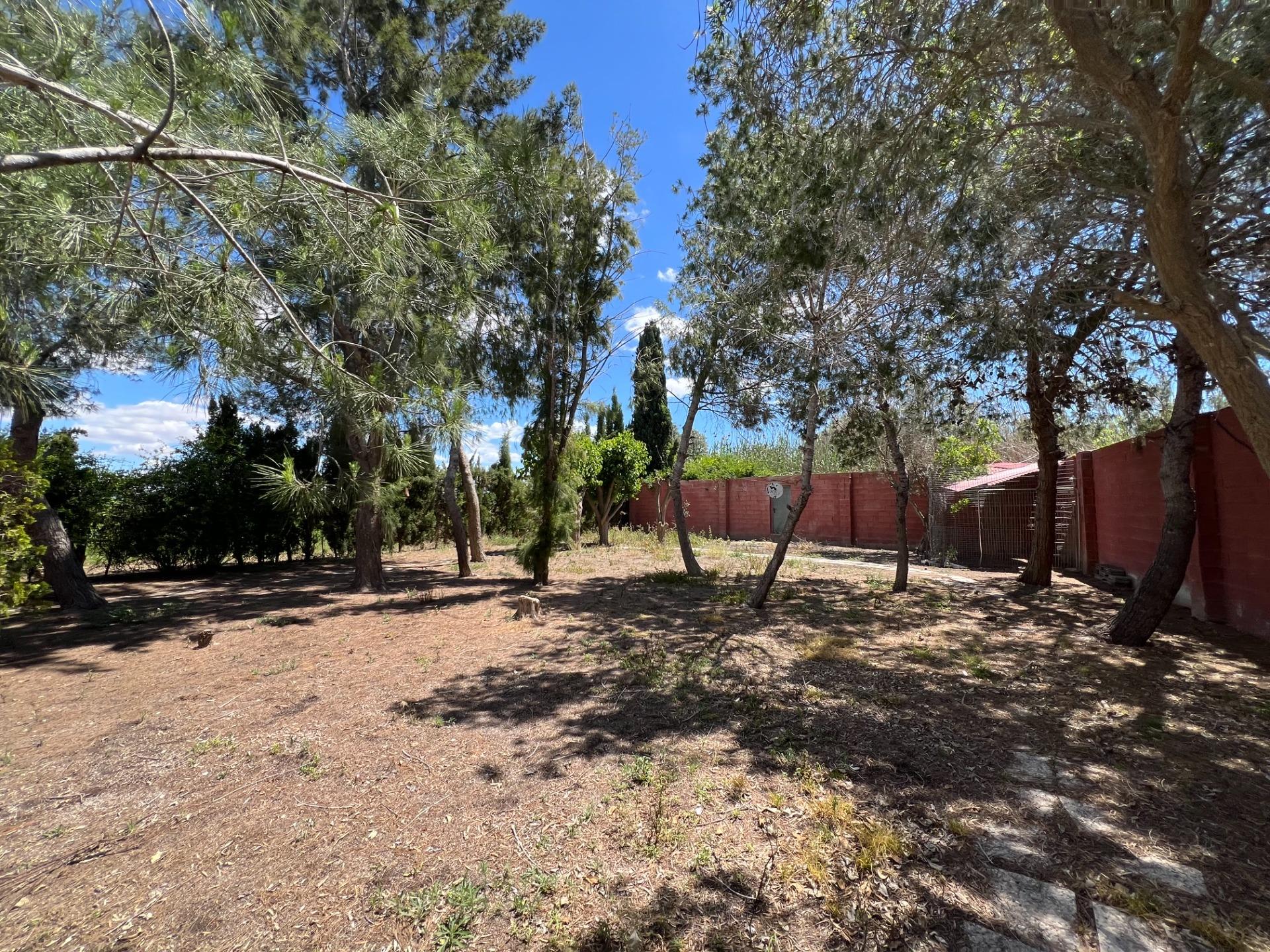 Apartment for Sale in Torrevieja, Alicante