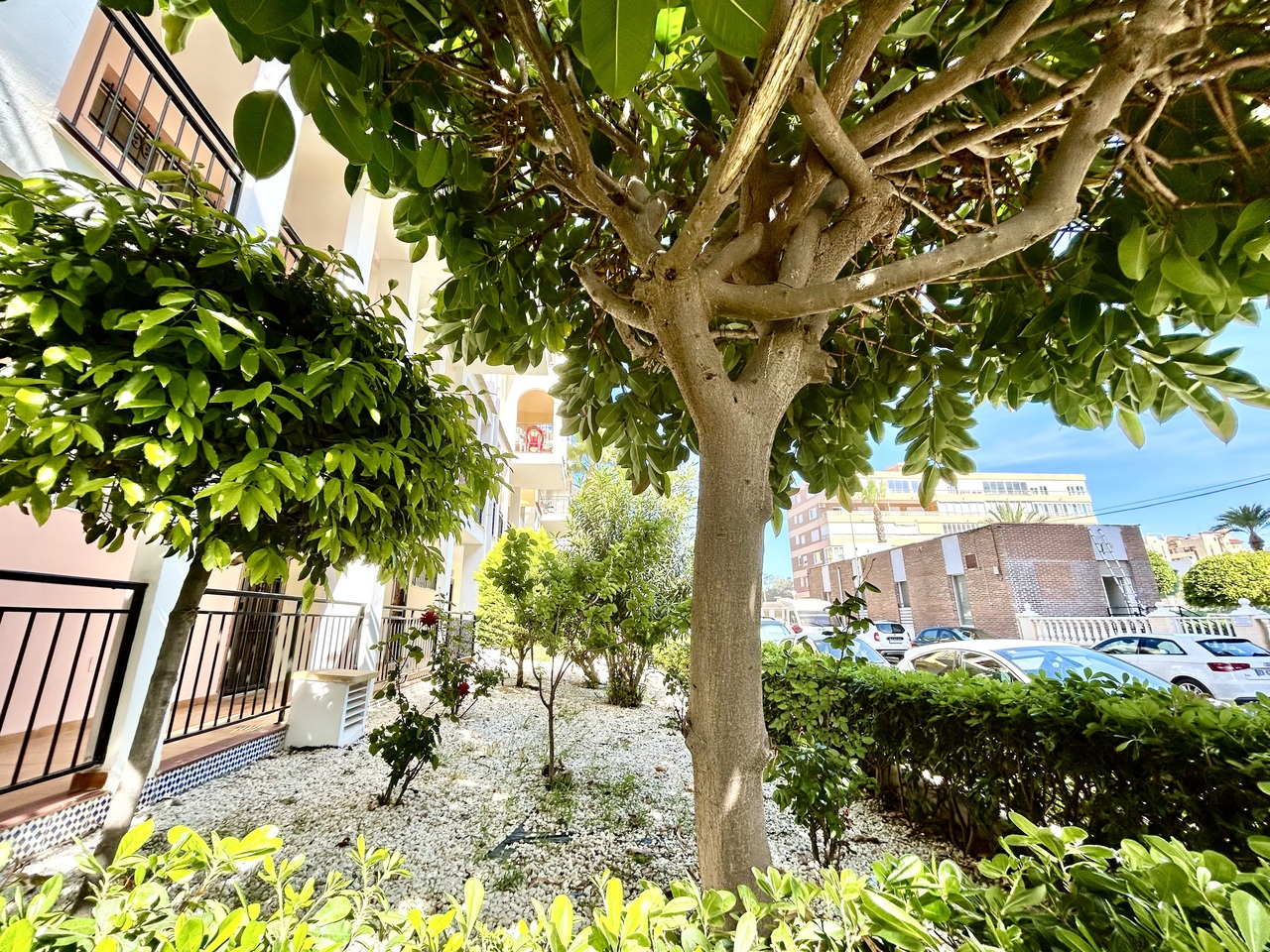 Apartment for Sale in Torrevieja, Alicante