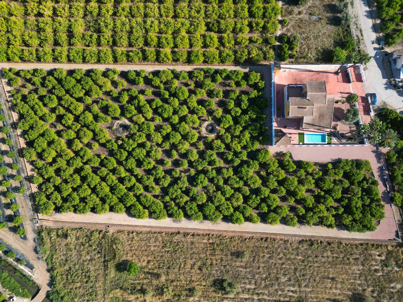 Finca for Sale in Orihuela, Alicante