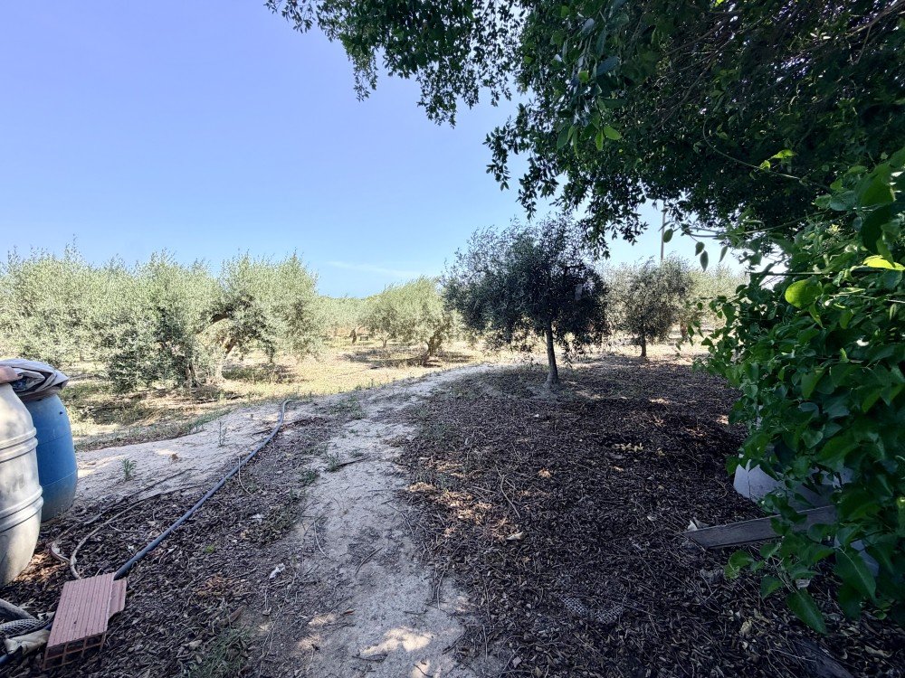Country House for Sale in La Marina, Alicante