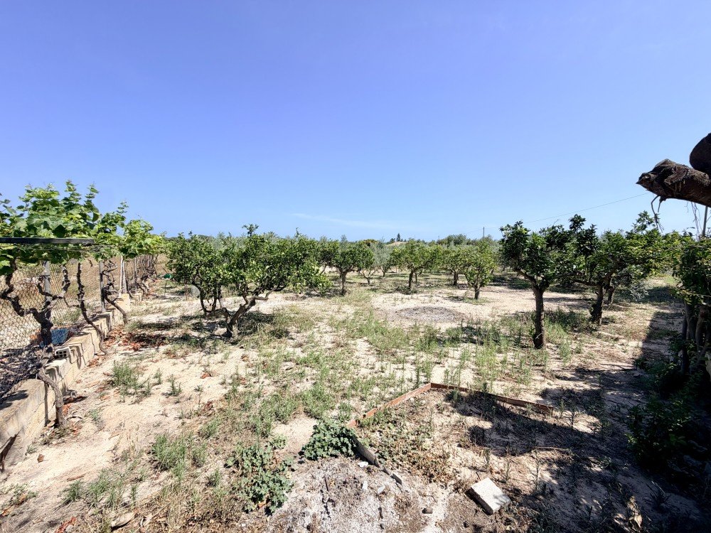 Country House for Sale in La Marina, Alicante
