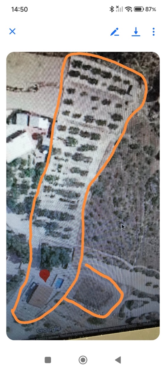 Country House for Sale in Crevillent, Alicante