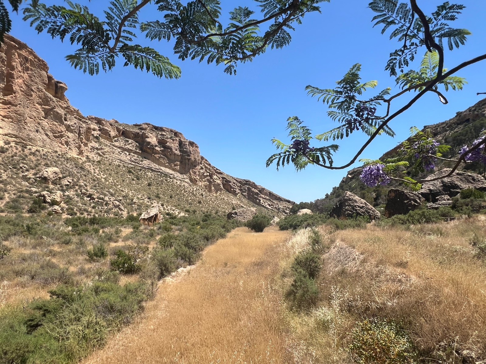 Country House for Sale in Crevillent, Alicante