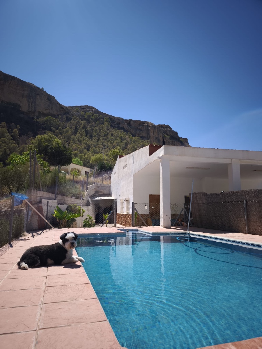 Country House for Sale in Crevillent, Alicante