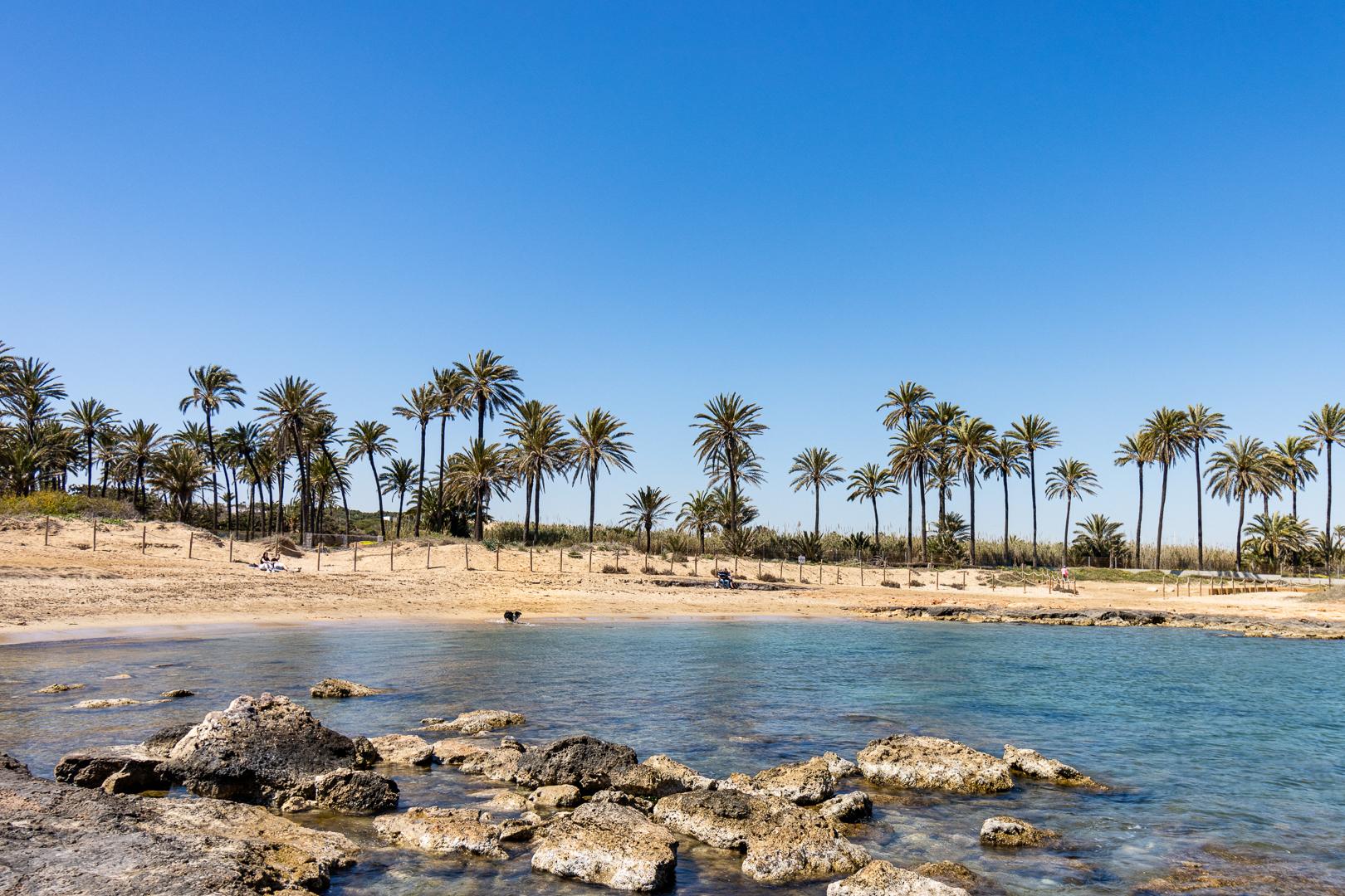 Bungalow for Sale in Torrevieja, Alicante
