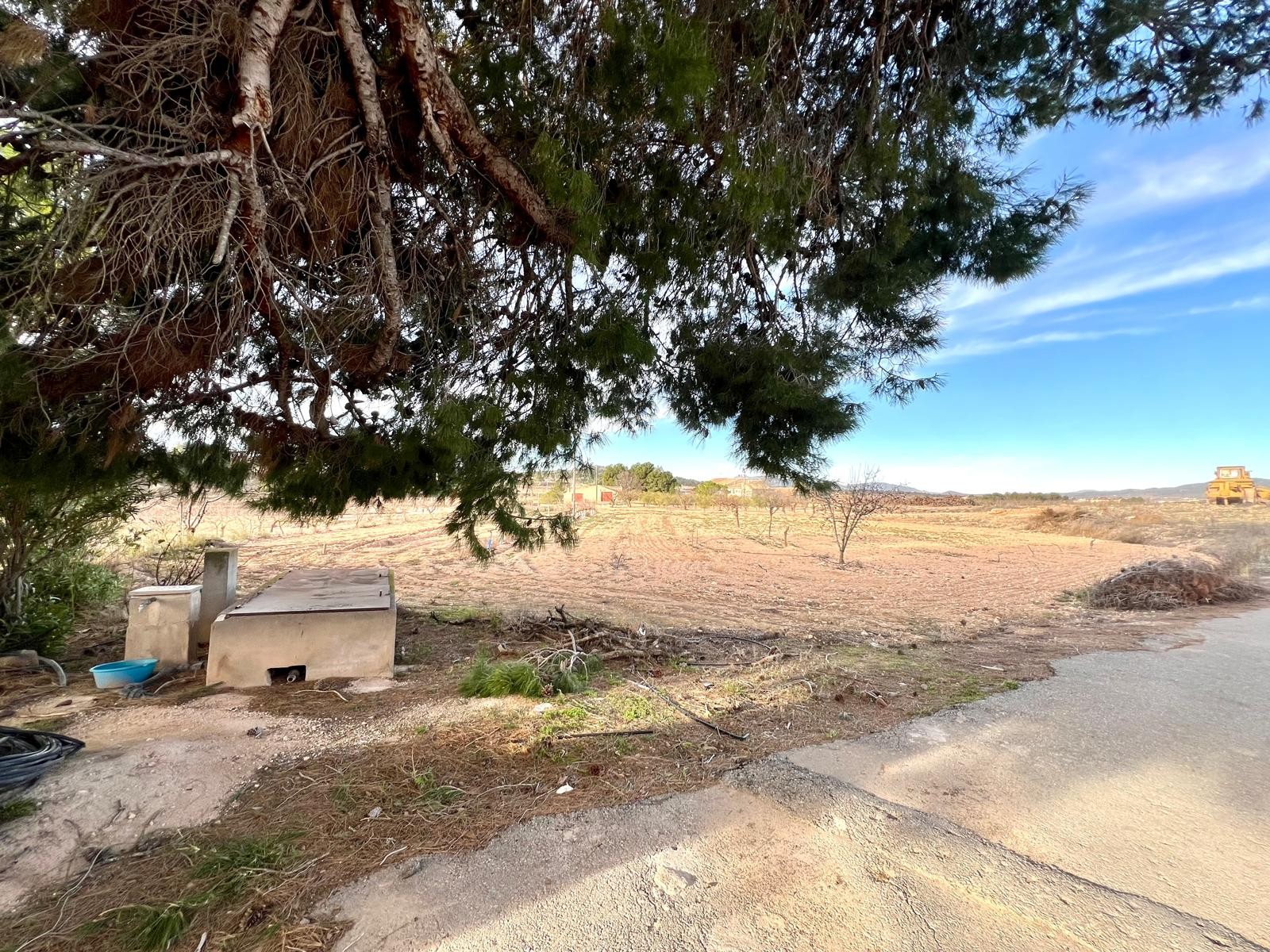 Country House for Sale in Monóvar/Monóver, Alicante