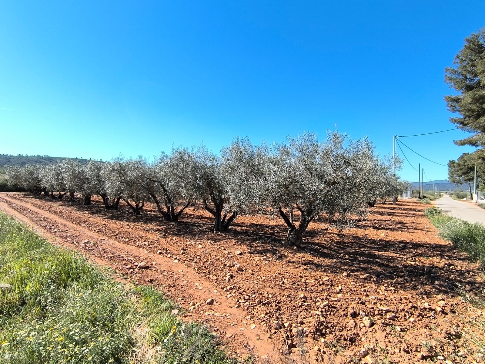 Country House for Sale in Yecla, Murcia