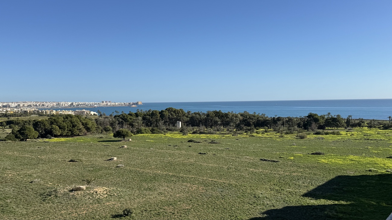 penthouse-punta-prima-at26115-1 Penthouse Penthouse for Sale in Punta Prima, Alicante
