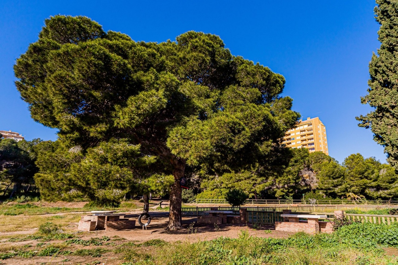 Duplex for Sale in Dehesa de Campoamor, Alicante