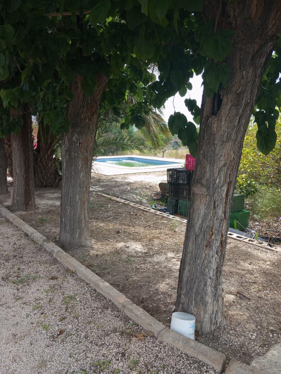 Country House for Sale in Redovan, Alicante