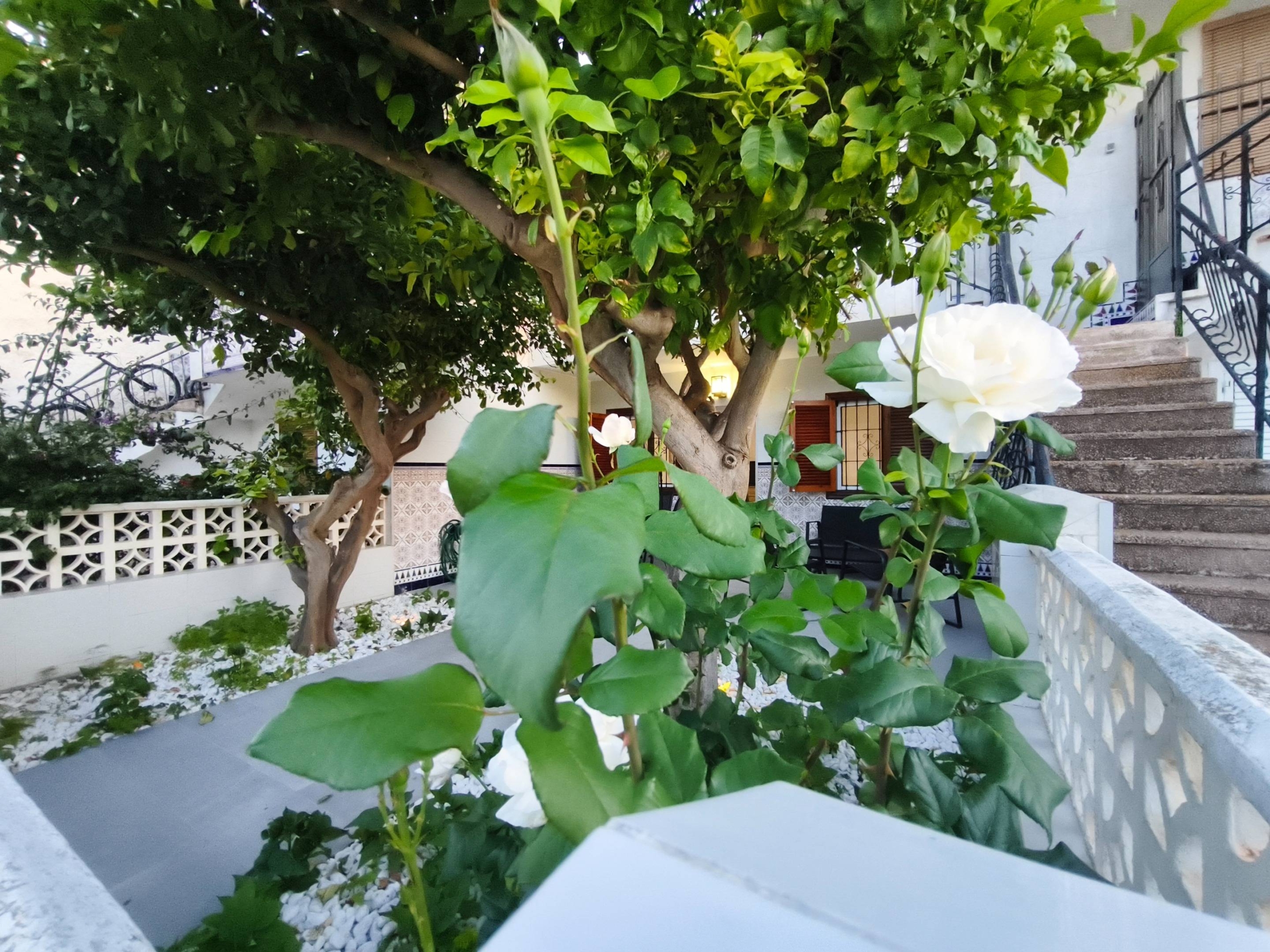 Bungalow for Sale in San Pedro del Pinatar, Murcia