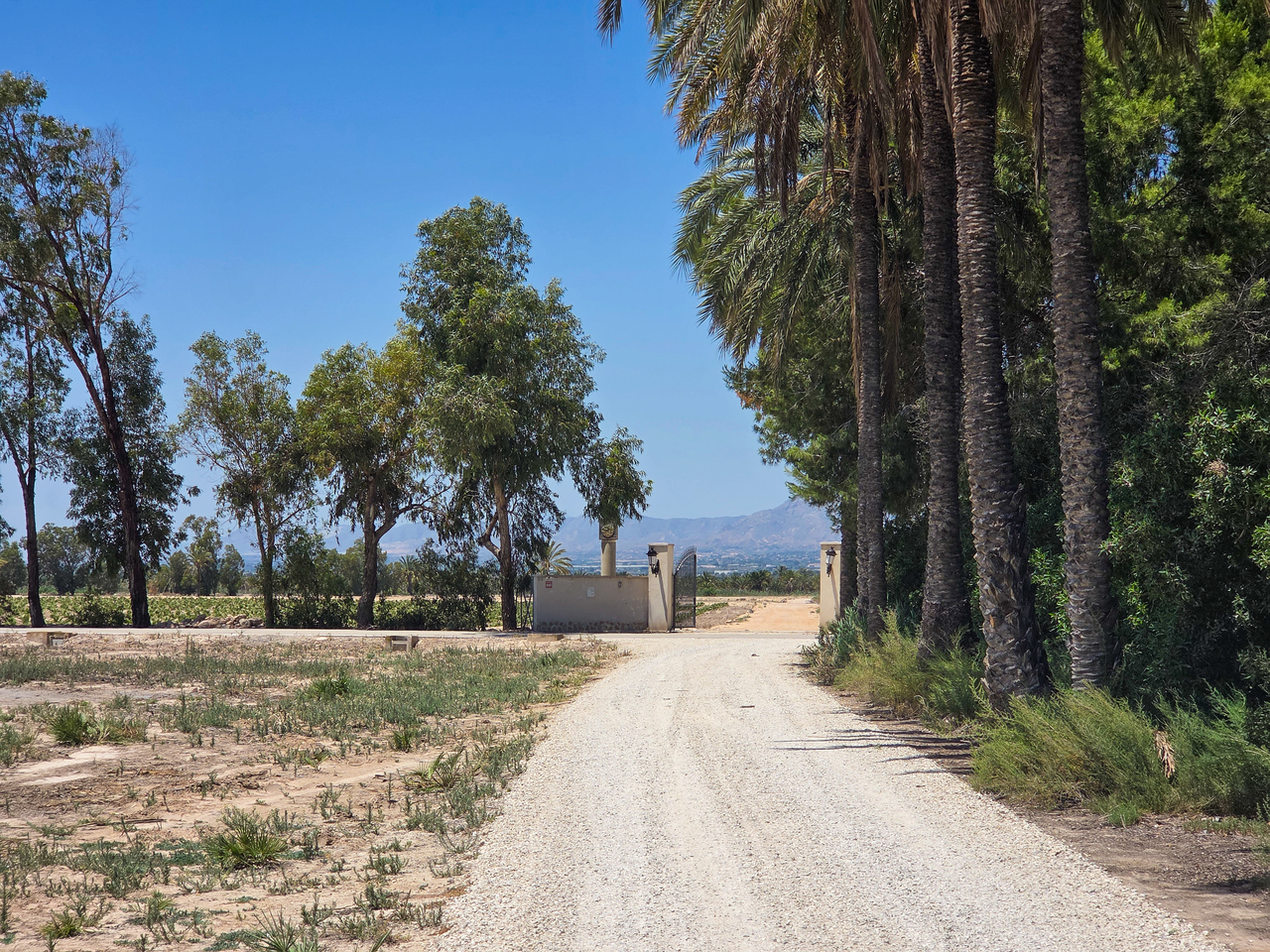 Villa for Sale in Elche, Alicante