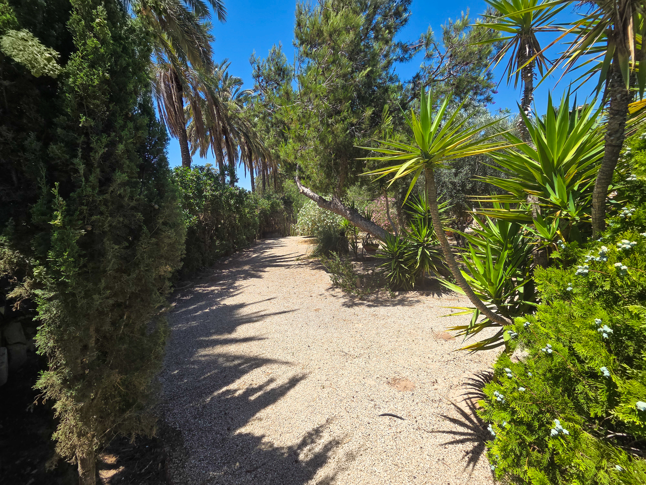 Villa for Sale in Elche, Alicante