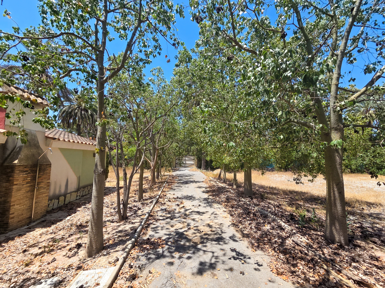 Villa for Sale in Elche, Alicante