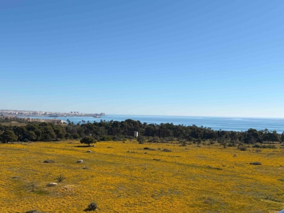 Apartment for Sale in Orihuela Costa, Alicante