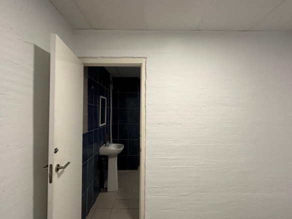 584