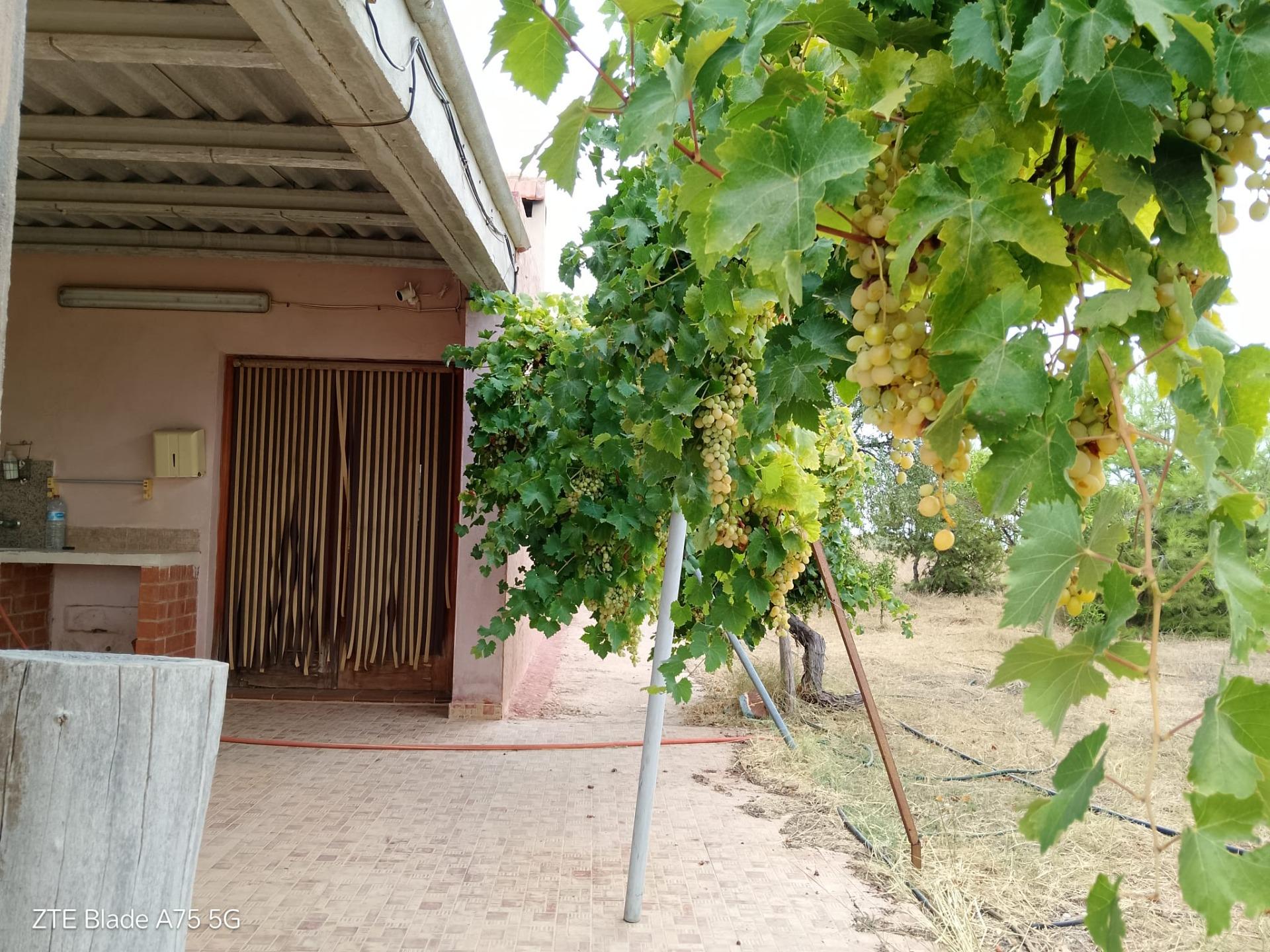 Duplex for Sale in Ciudad Quesada, Alicante