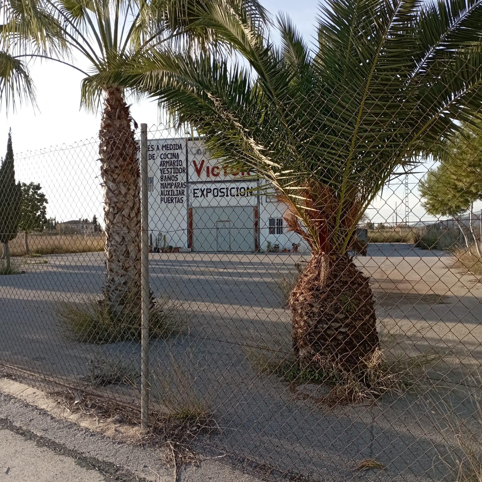 Apartment for Sale in San Miguel de Salinas, Alicante