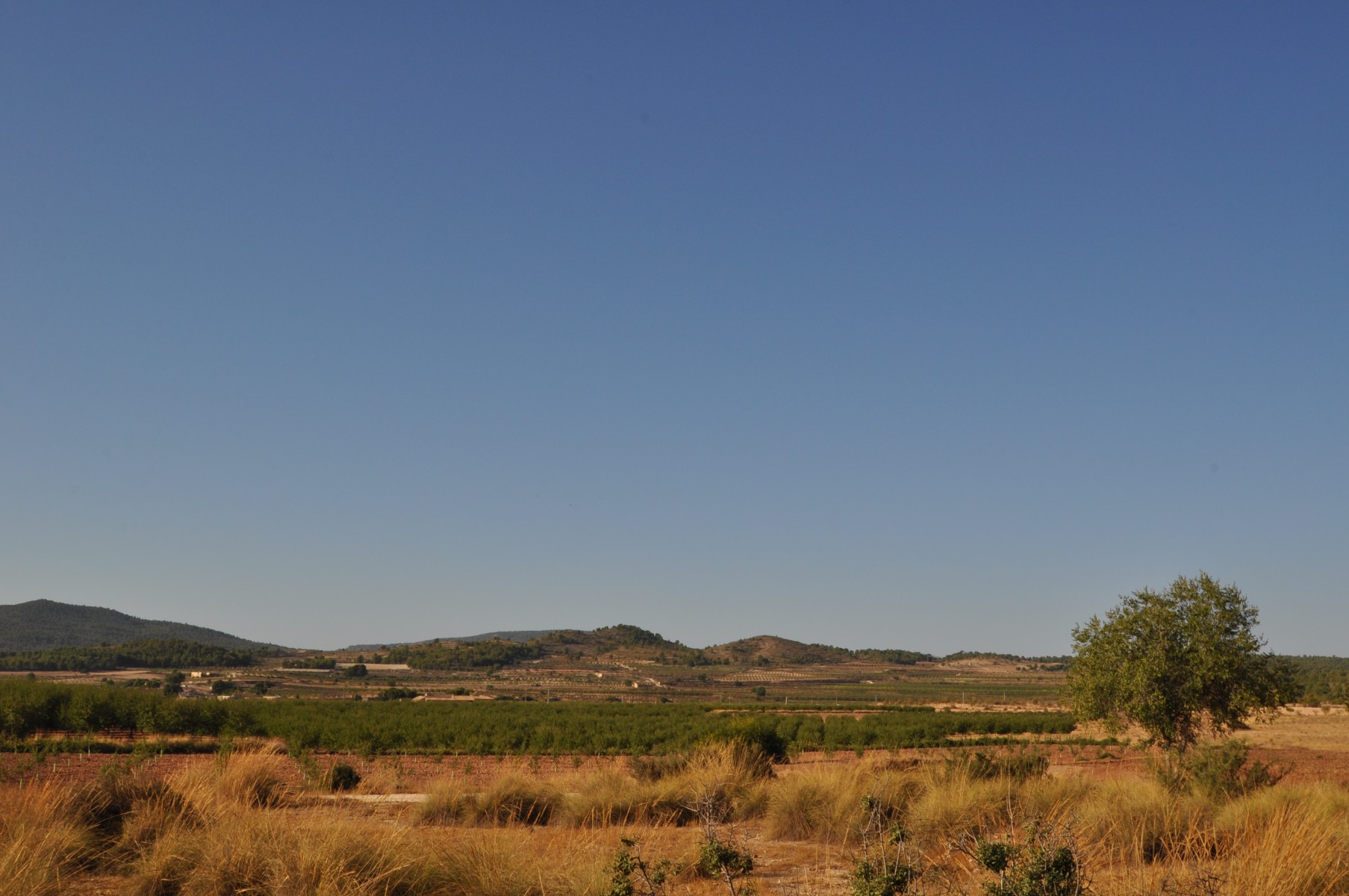 Country House for Sale in Pinoso, Alicante