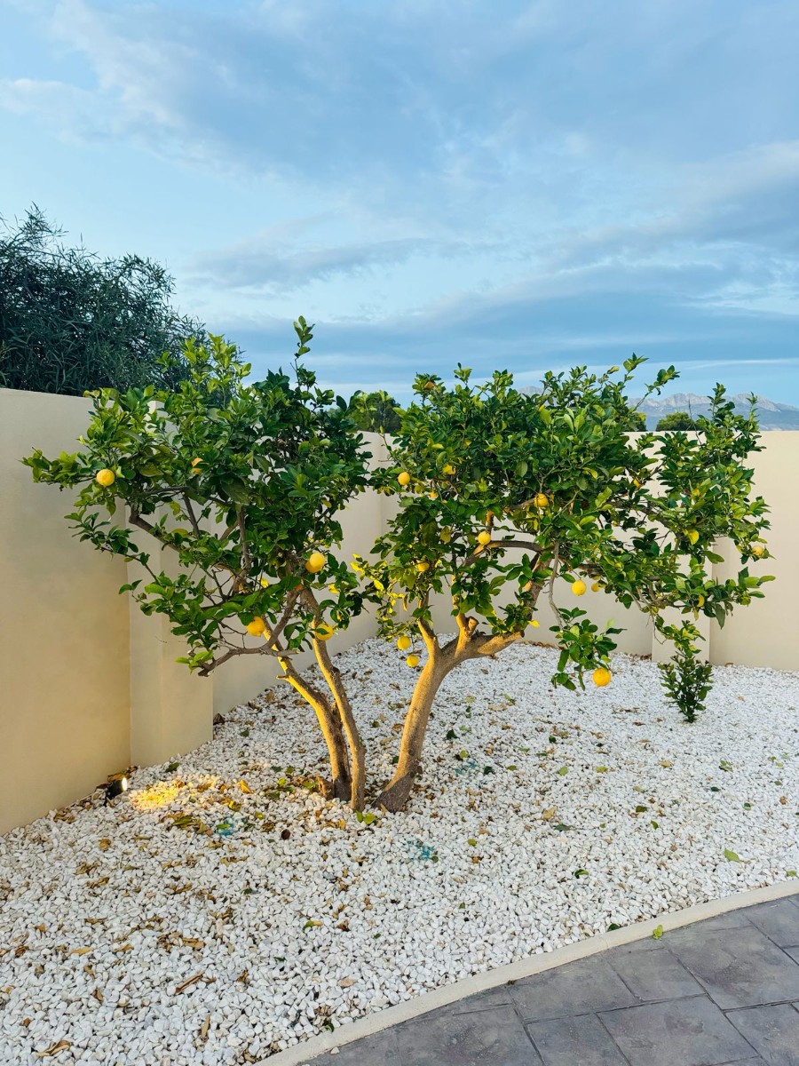 Villa for Sale in Alfas del Pi, Alicante