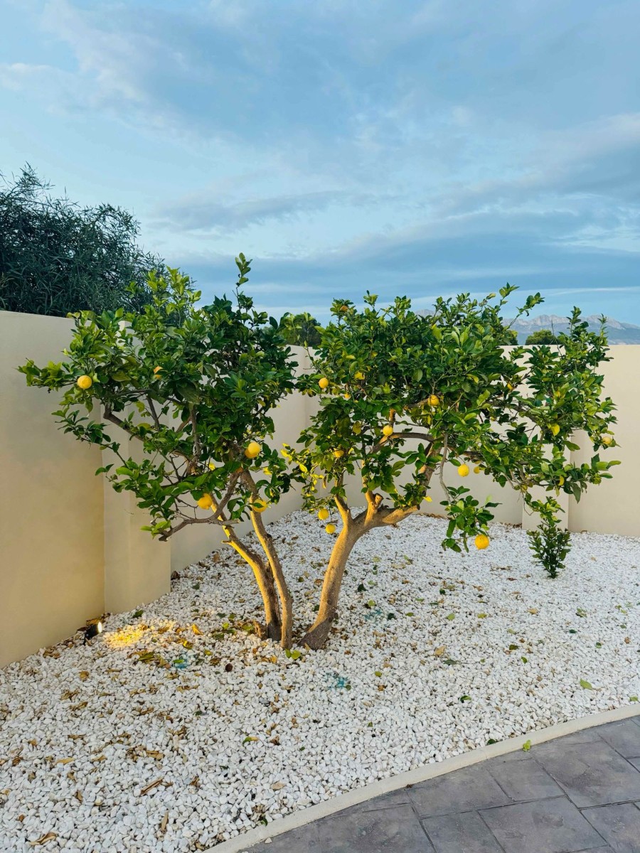 Villa for Sale in Alfas del Pi, Alicante