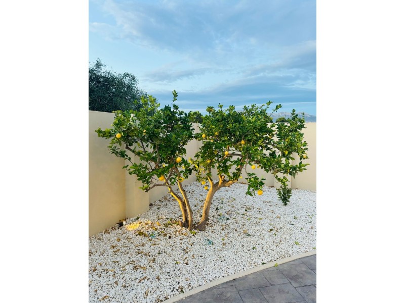 Villa for Sale in Alfas del Pi, Alicante