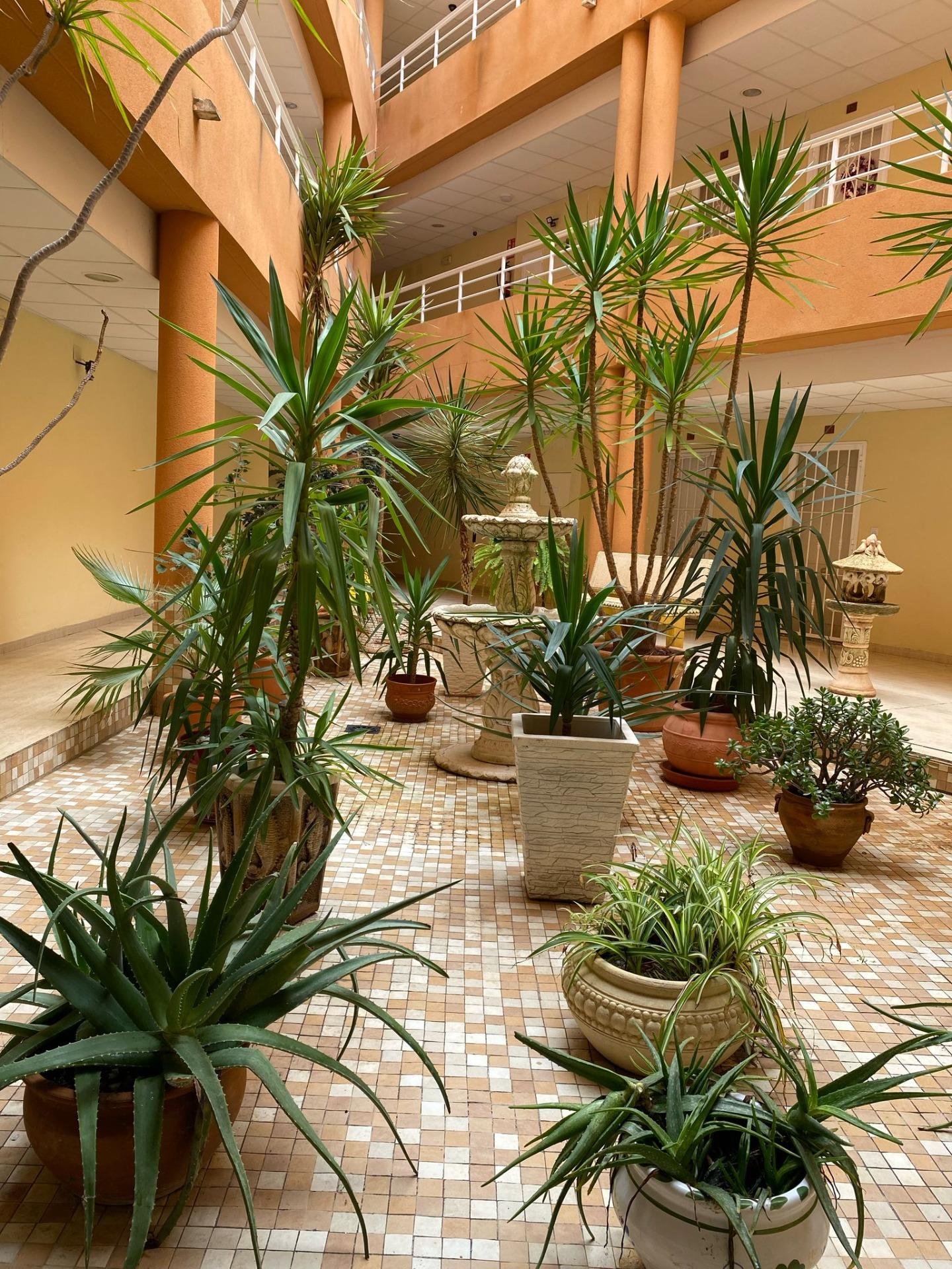 Apartment for Sale in San Miguel de Salinas, Alicante