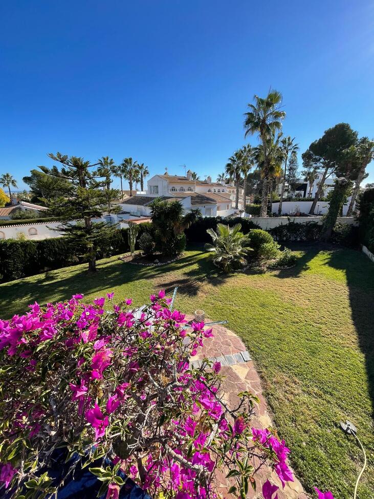 Villa for Sale in Villamartin, Alicante