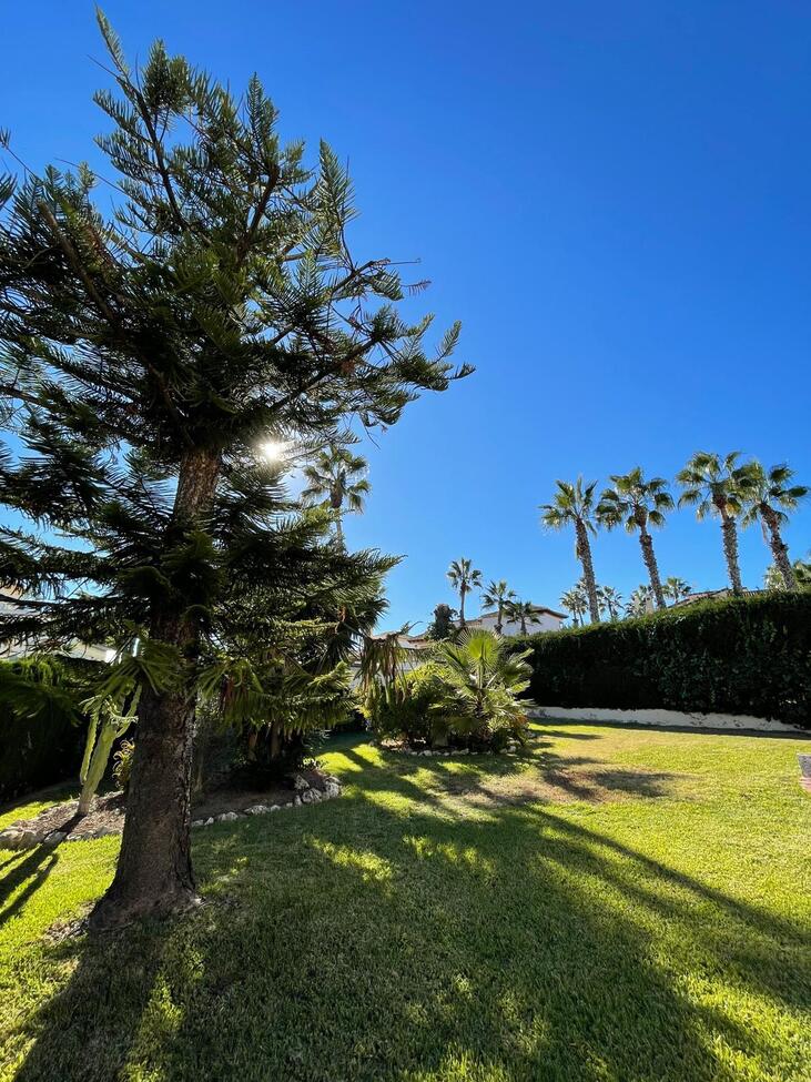 Villa for Sale in Villamartin, Alicante