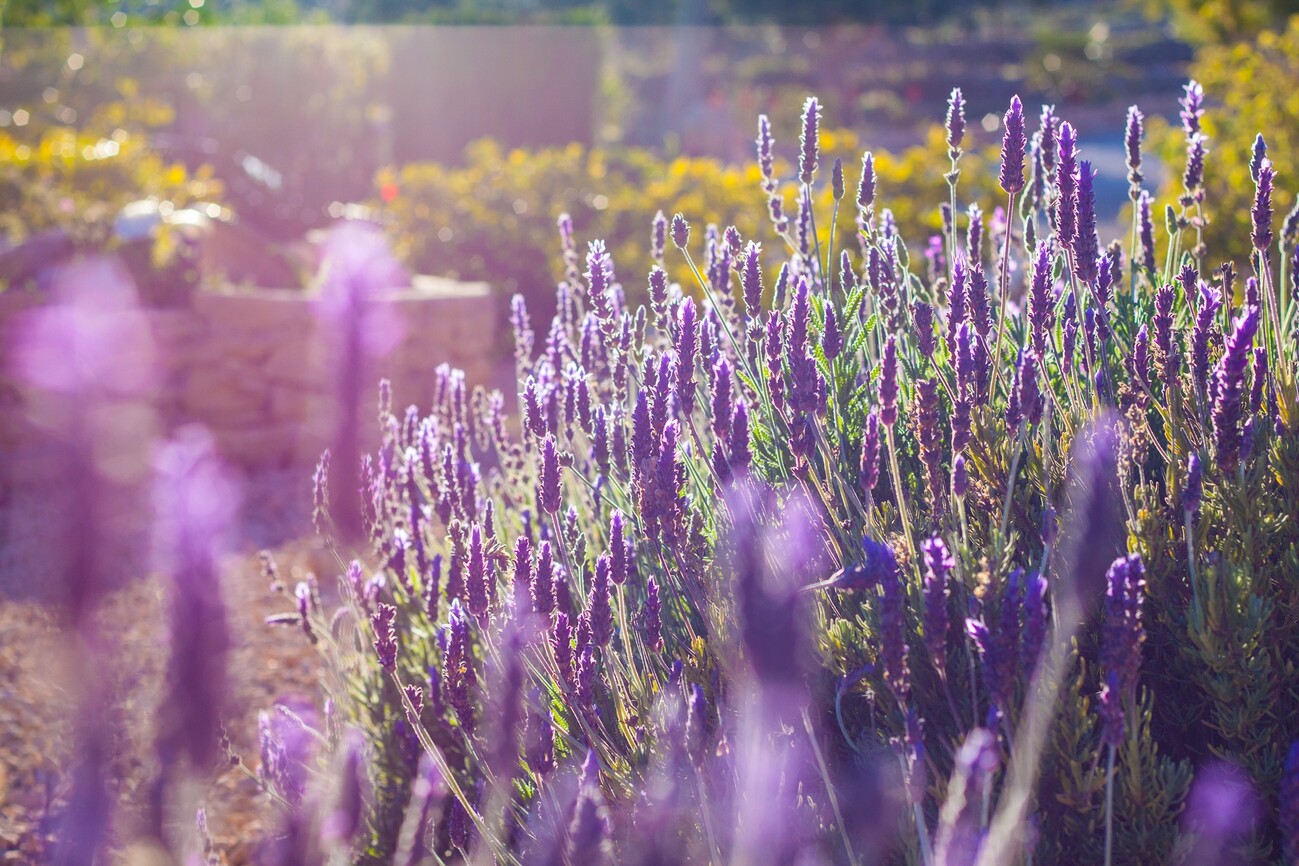 Finca for Sale in Benissa, Alicante