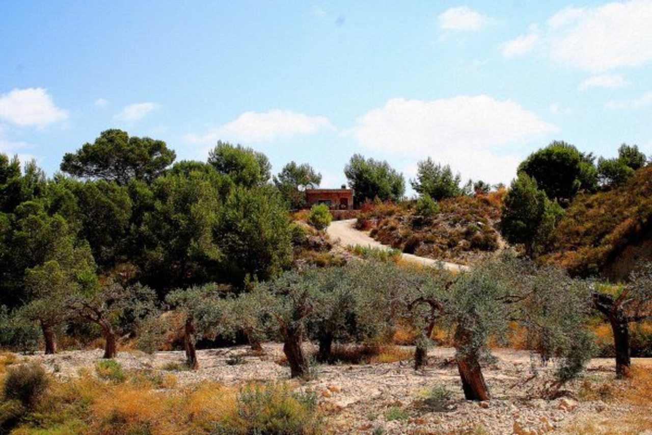 Finca for Sale in Gea Y Truyols, Murcia