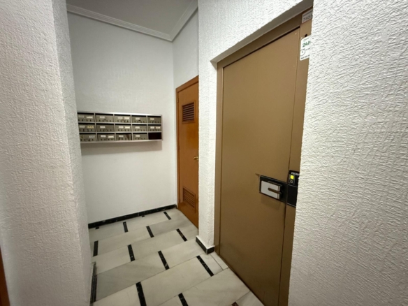 584