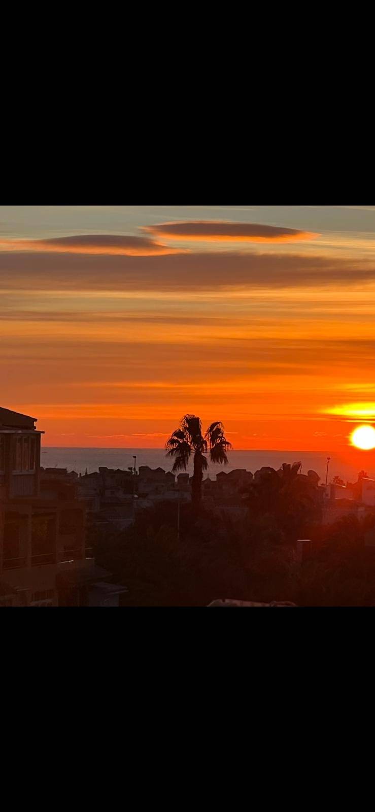 Apartment for Sale in Torrevieja, Alicante