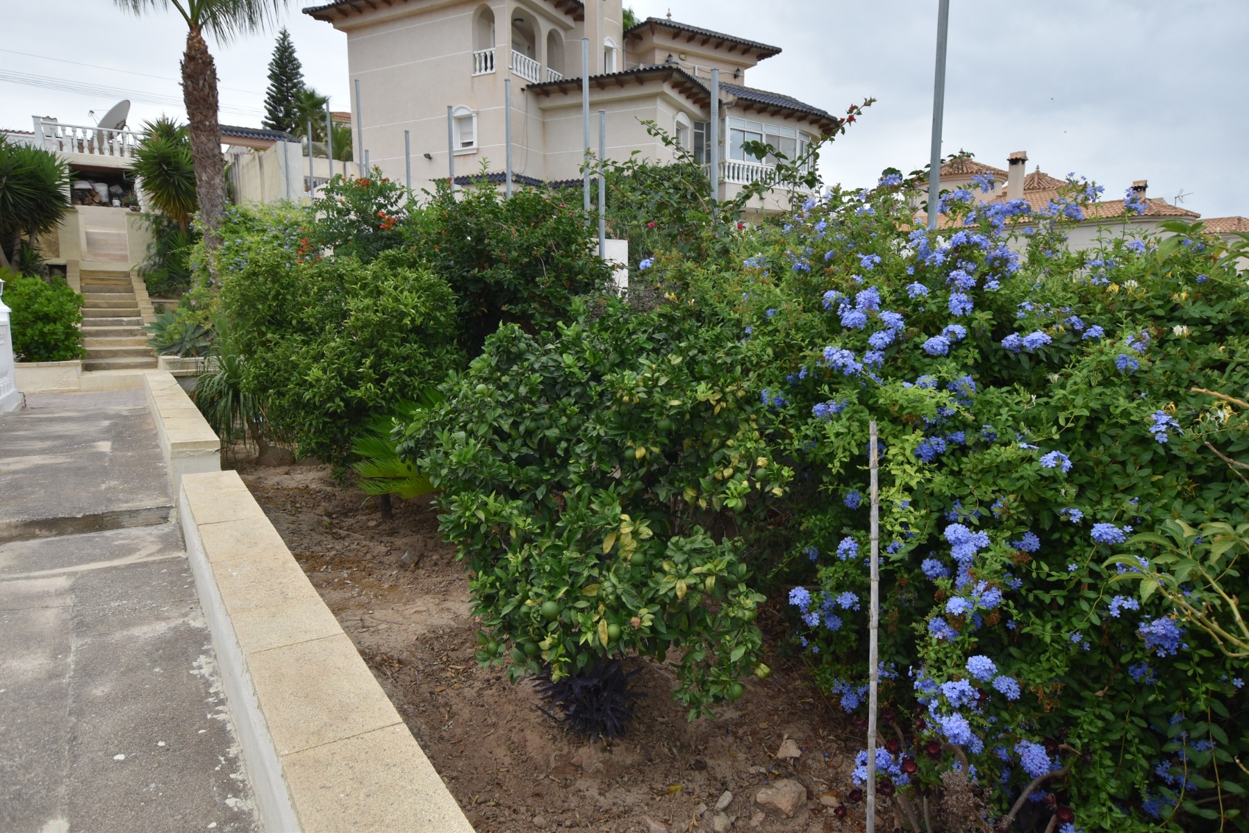 Villa for Sale in Algorfa, Alicante