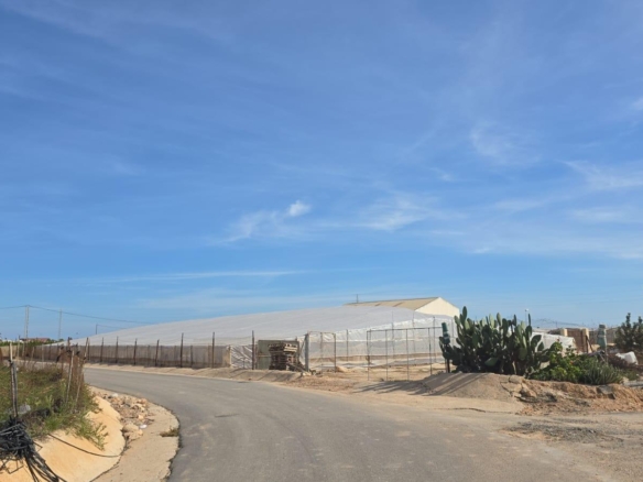 Finca for Sale in Pilar de La Horadada, Alicante