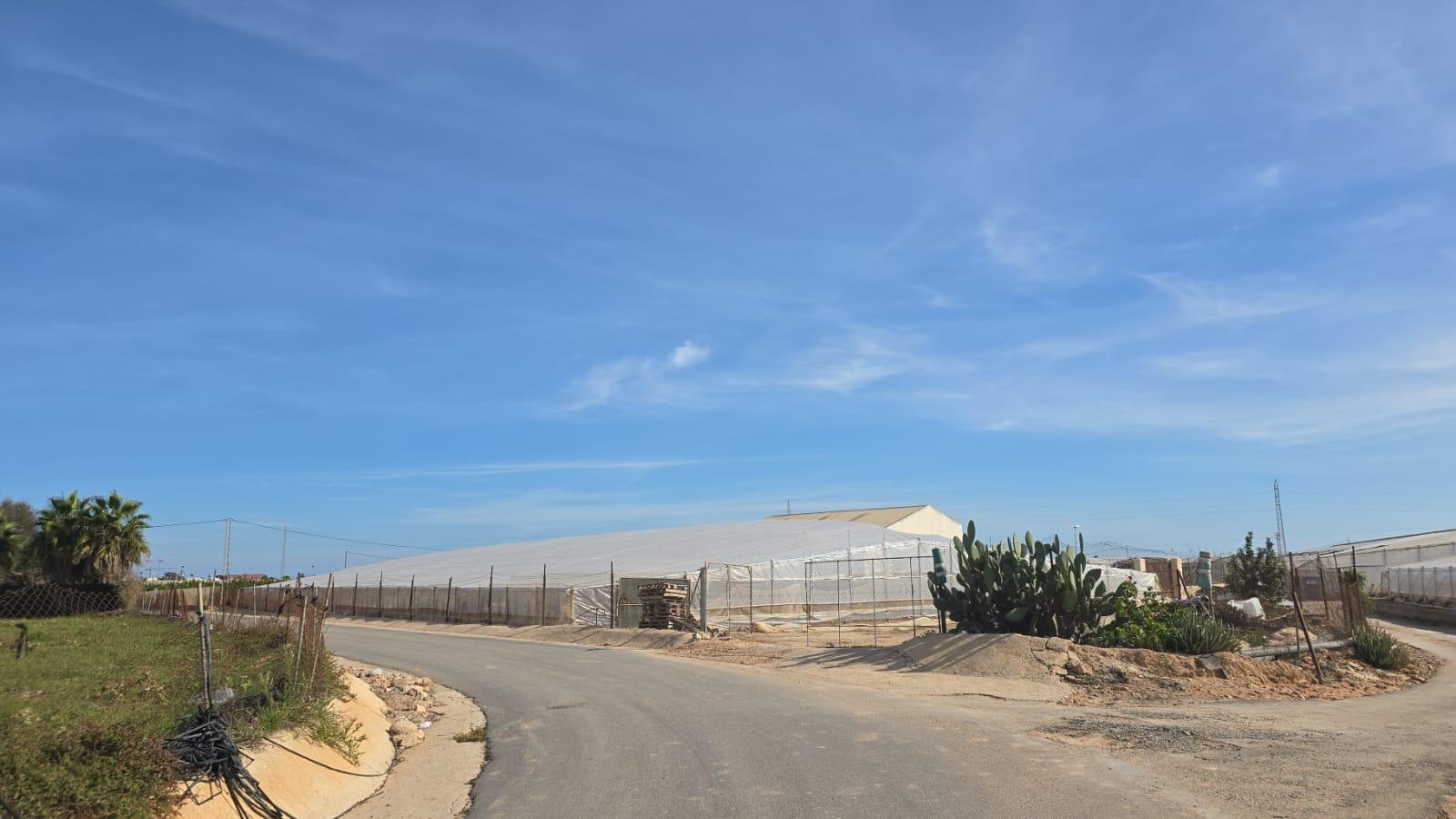 1-1 Finca for Sale in Pilar de La Horadada, Alicante