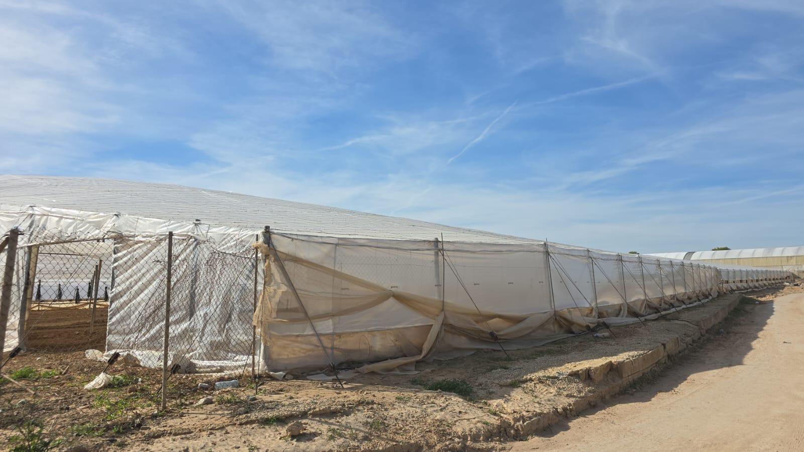 Finca for Sale in Pilar de La Horadada, Alicante
