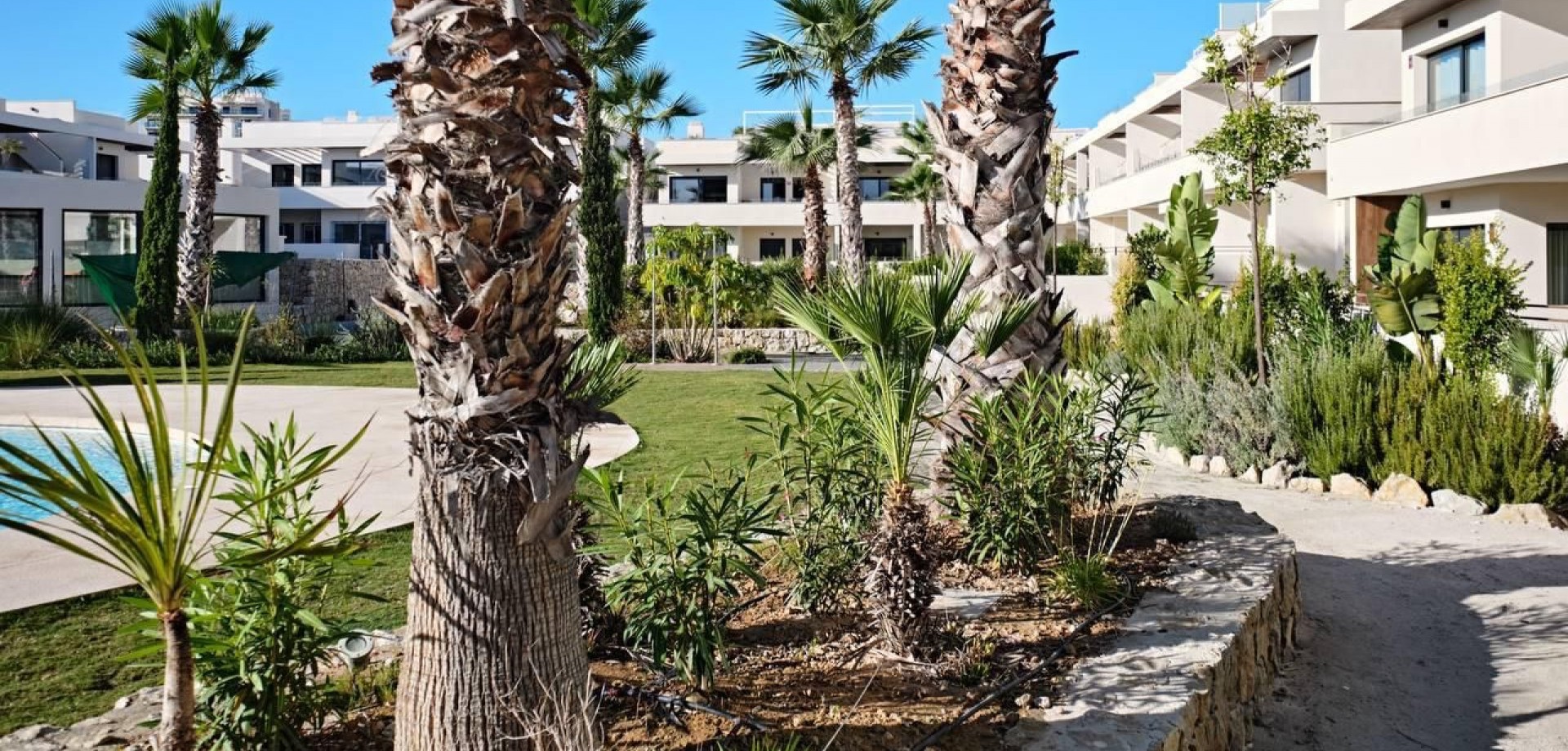 Apartment for Sale in Torrevieja, Alicante