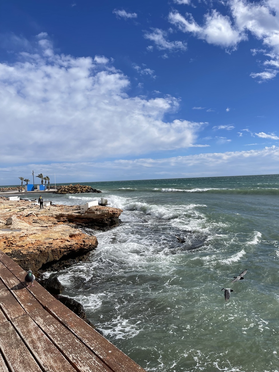Penthouse for Sale in Torrevieja, Alicante