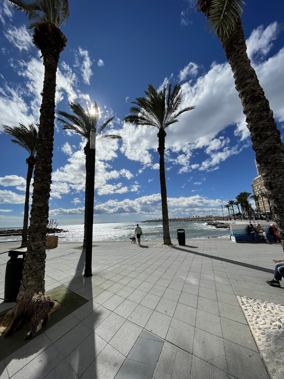 Penthouse for Sale in Torrevieja, Alicante